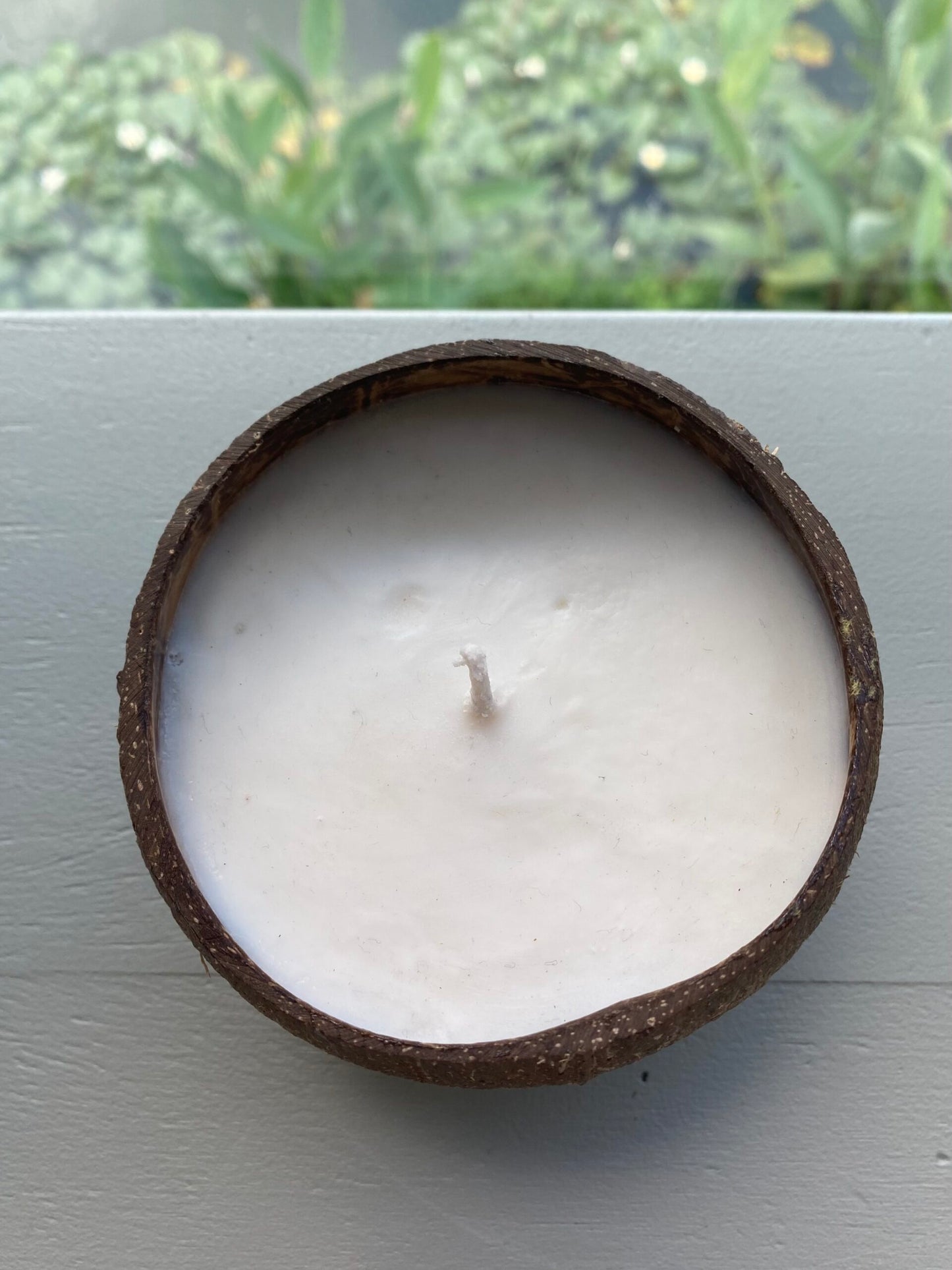 Geurkaars in Kokosnoot